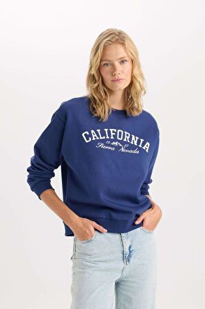 DeFacto Relax Fit Bisiklet Yaka Baskılı Kalın Sweatshirt D6713AX24WNNV42