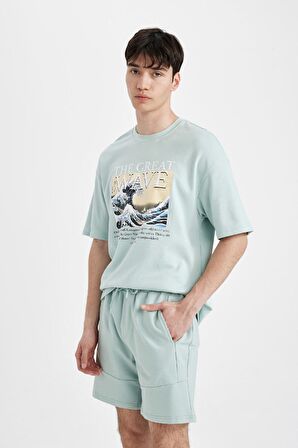 DeFacto Art Hokusai Comfort Regular Fit Rahat Kalıp Bisiklet Yaka Ağır Kumaş Kısa Kollu Tişört A8916AX24SPBE525