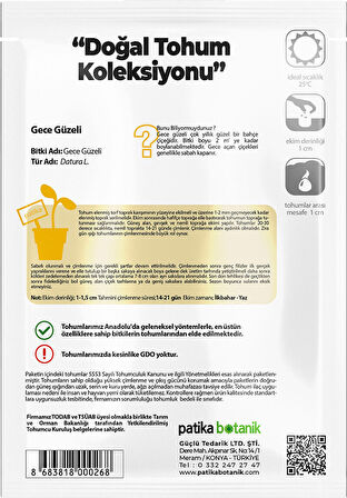 15 Adet Gece Güzeli (Datura L.) Çiçek Tohumu