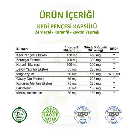 Kedi Pençesi Kapsül (CAT'S CLAW CAPSULE)