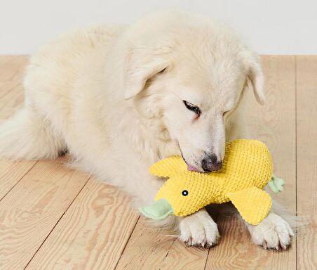 Pelüş Köpek Oyuncağı, Ördek, Geri Dön. PES, Büyük