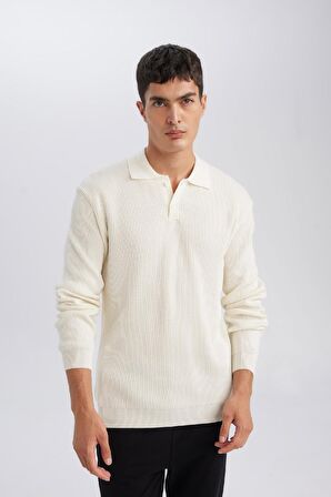 DeFacto Standart Fit Polo Yaka Düğmeli Triko Kazak D1959AX24AUER139