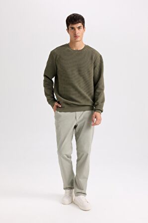 DeFacto Regular Fit Bisiklet Yaka Jakarlı Sweatshirt D5392AX24AUKH261