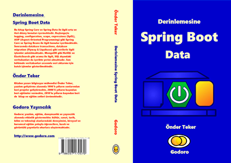 Derinlemesine Spring Boot Data