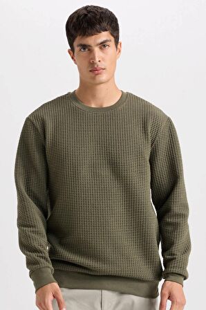 DeFacto Regular Fit Bisiklet Yaka Jakarlı Sweatshirt D5392AX24AUKH261