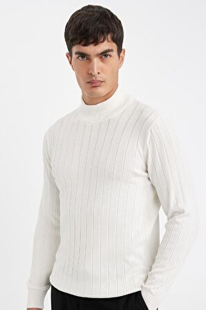 DeFacto Standart Fit Normal Kesim Yarım Balıkçı Yaka Jakarlı Triko Kazak D2943AX24AUER139