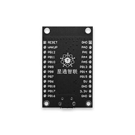 TB-01 W600 WiFi Geliştirme Kartı