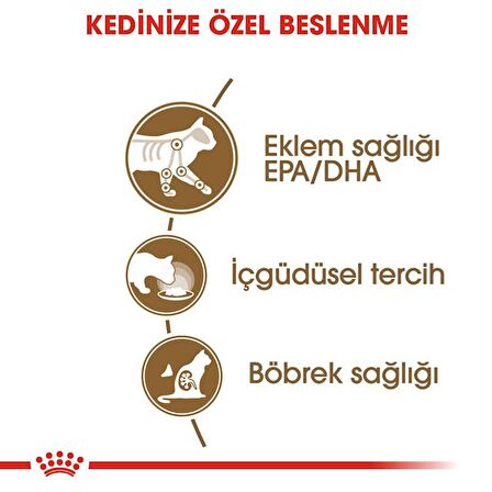 Royal Canin 12 yaş ve Üzeri Kediler için Yaş Kedi Maması 85g