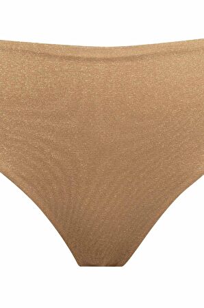 DeFacto Regular Fit Parlak Kumaş Yüksek Bel Bikini Altı-Fall in Love C3180AX24SMYL275