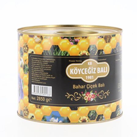Köyceğiz Balı Bahar Çiçek Balı 2850 G Teneke