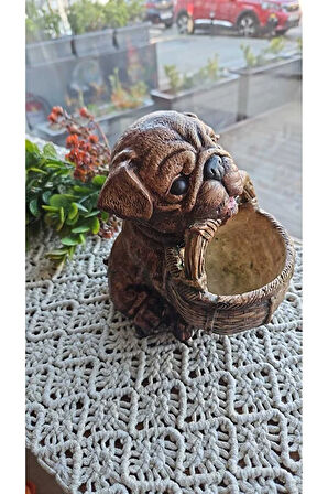 Sepetli Köpek Saksı, Sevimli Köpek, Dog Flowerpot