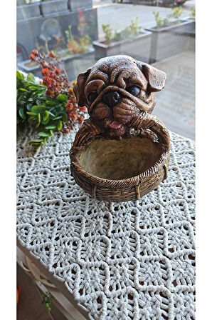 Sepetli Köpek Saksı, Sevimli Köpek, Dog Flowerpot