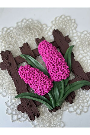 Dekoratif Çitli Sümbül, Fuşya, Hediyelik, Anneler Günü