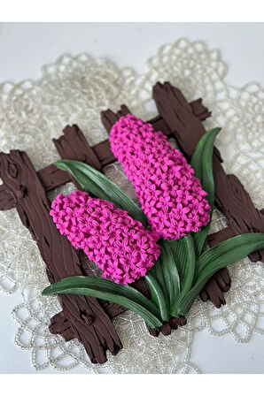 Dekoratif Çitli Sümbül, Fuşya, Hediyelik, Anneler Günü