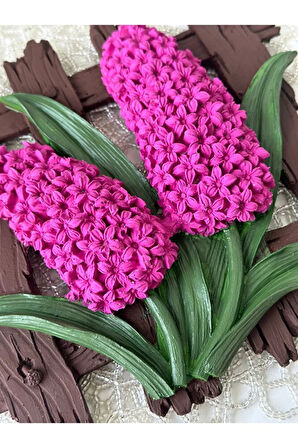 Dekoratif Çitli Sümbül, Fuşya, Hediyelik, Anneler Günü