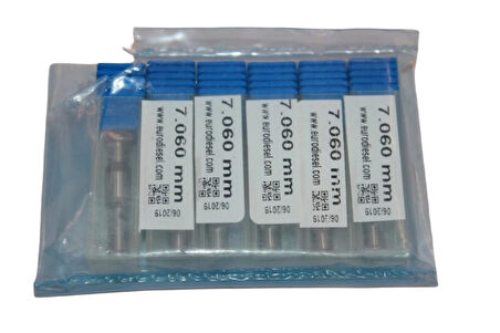 Eurodiesel 7.060 mm Common Rail Enjektör Kontrol Valfi Çekirdeği – 6'lı Set