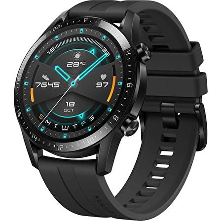 HUAWEI Akıllı Saat GT 2 46 mm - Siyah-TEŞHİR
