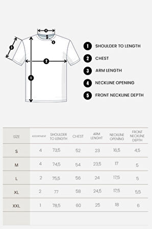 Erkek Pamuklu Basic Oversize  Bisiklet Yaka Kısa Kollu Tişört