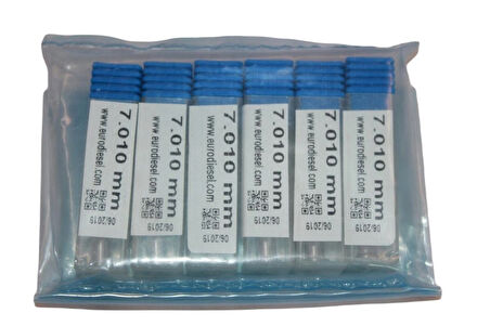 Eurodiesel 7.010 mm 6 Adet Common Rail Elektronik Ünite Enjektör Kontrol Vanası Çekirdeği