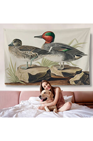 John James Audubon'un 'Birds Of America' Duvar Örtüsü-7011