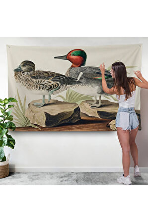 John James Audubon'un 'Birds Of America' Duvar Örtüsü-7011