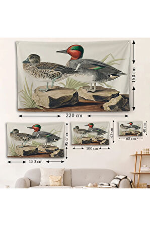 John James Audubon'un 'Birds Of America' Duvar Örtüsü-7011