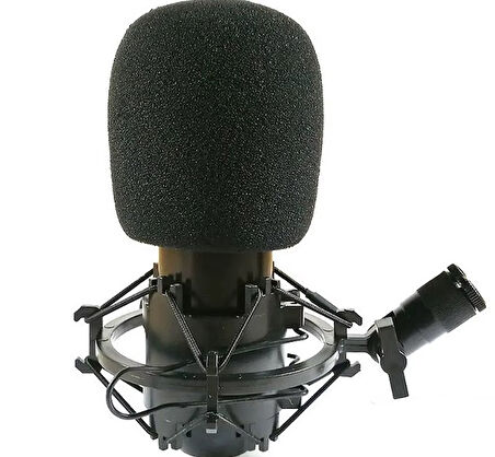 Lmat19 Condencer Mikrofon Süngeri - Kondenser Mikrofon Filtresi - Rüzgar Geçirmez 1 Adet