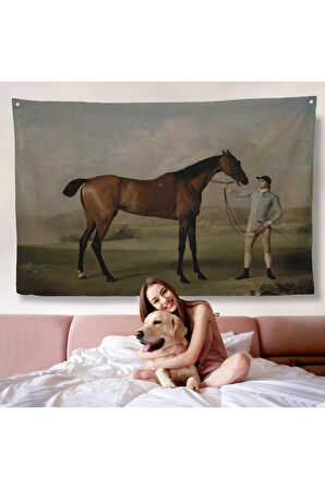 George Stubbs'un Uzun Bacaklı At ve Jokeyi Duvar Örtüsü - Molly Long-legs with her Jockey-7012