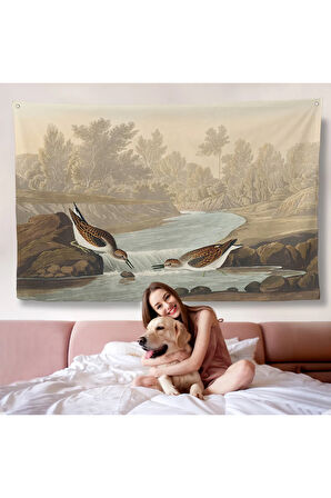 John James Audubon Küçük Çulluklar Duvar Örtüsü-7013