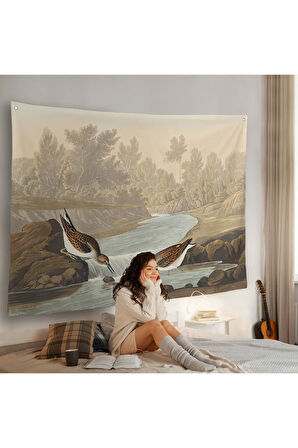 John James Audubon Küçük Çulluklar Duvar Örtüsü-7013