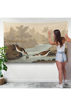 John James Audubon Küçük Çulluklar Duvar Örtüsü-7013