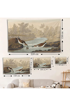 John James Audubon Küçük Çulluklar Duvar Örtüsü-7013