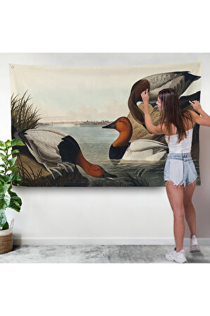 John James Audubon Ördekler Duvar Örtüsü-7030