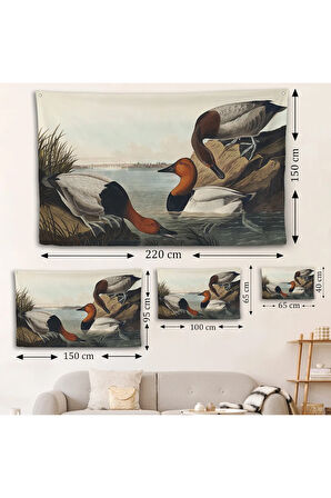 John James Audubon Ördekler Duvar Örtüsü-7030