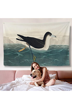 Robert Havell, John James Audubon Esmer Kuş Duvar Örtüsü-7034