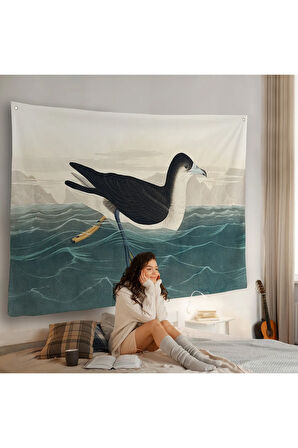 Robert Havell, John James Audubon Esmer Kuş Duvar Örtüsü-7034