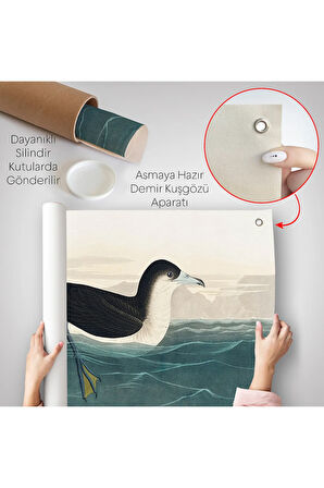 Robert Havell, John James Audubon Esmer Kuş Duvar Örtüsü-7034