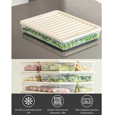 bigmate BGMT2525 4'lü Şeffaf Saklama Kabı 4x2,5 Lt Mikrodalga Buzdolabı ve Dondurucu Uyumlu Düzenleyici
