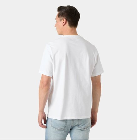 Helly Hansen Core Graphic 2.0 Erkek Tişört HHA.54599.004
