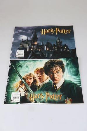 x Dekomus Lisanslı Harry Potter Magic Art Collection 25x35 15 Yaprak Büyük Boy Resim Defteri Tek Adet "Dekomus Cep Defteri Hediyeli"