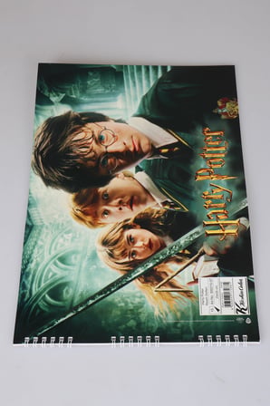 x Dekomus Lisanslı Harry Potter Magic Art Collection 25x35 15 Yaprak Büyük Boy Resim Defteri Tek Adet "Dekomus Cep Defteri Hediyeli"