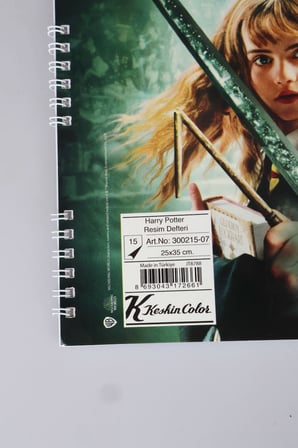x Dekomus Lisanslı Harry Potter Magic Art Collection 25x35 15 Yaprak Büyük Boy Resim Defteri Tek Adet "Dekomus Cep Defteri Hediyeli"