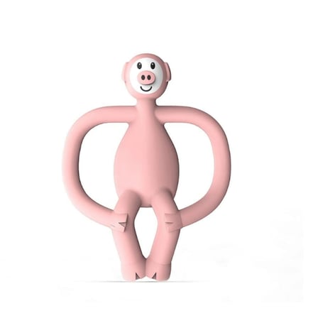 Matchstick Monkey Silikon Diş Kaşıyıcı / Pickle Pig