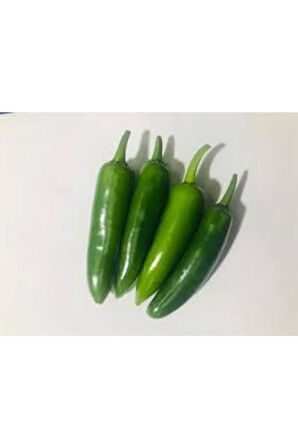 5 Adet Tohum Acı Meksika Biberi Tohumu Jalapeno Piberi