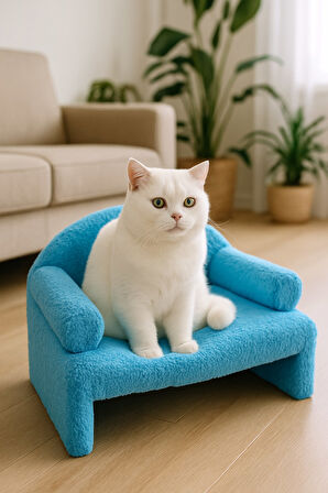 Reyo Pet Peluş Kedi Oturma Koltuğu Kedi Yatağı Mavi
