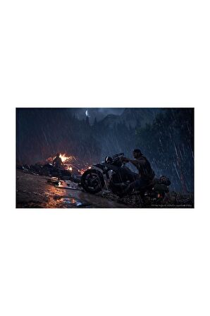 Days Gone Playstation 4 Playstation Plus