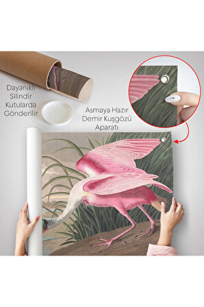 John James Audubon - Pembe Kaşıkçı Kuşu Duvar Örtüsü-7120