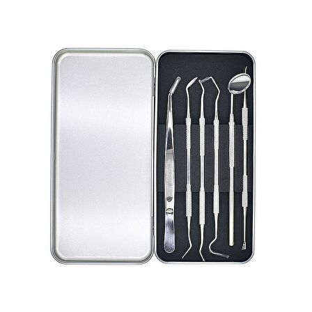 Valkyrie 6 adet Metal Kutulu Paslanmaz Çelik Diş Tartar Dil Temizleme Dental Ağız Bakım Seti