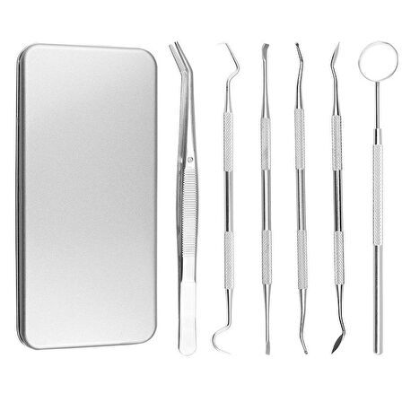 Valkyrie 6 adet Metal Kutulu Paslanmaz Çelik Diş Tartar Dil Temizleme Dental Ağız Bakım Seti