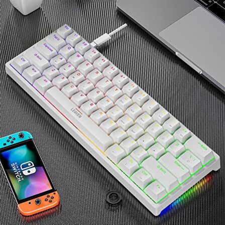 Valkyrie Leaven K620 Blue Switch Mekanik Gaming Oyun Klavyesi RGB 61 Key Mavi Tuş Type-C Klavye Beyaz